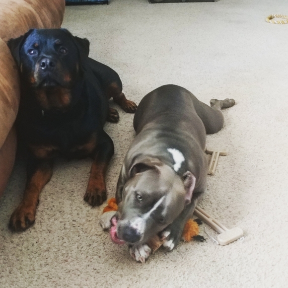 Meet your seller/buyer! - Picture 8 of 16